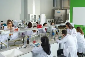 دانشگاه نیشانتاشی