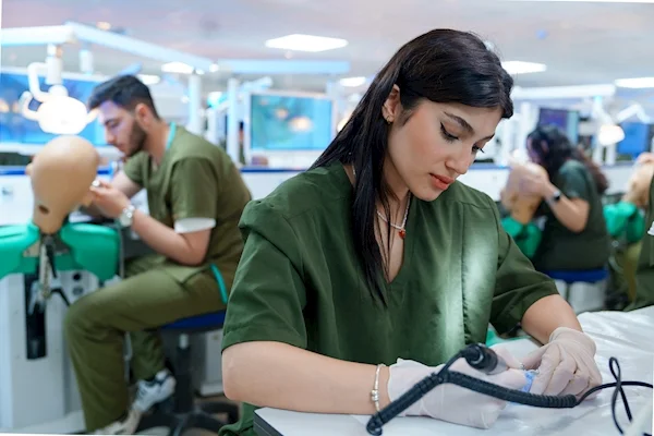 دانشگاه بیرونی
